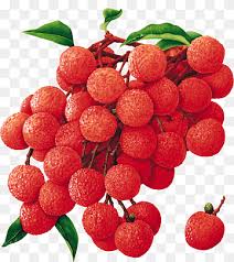 Shop with confidence on ebay! Round Red Fruits Art Tropical Fruit Fruit Tree China 3 Lychee Food Lychee Natural Foods Frutti Di Bosco Strawberries Png Pngwing