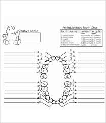 baby teeth chart 8 free pdf documents download free