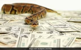 The naira was a major international exchange currency during the 1970's even attaining a rate of exchange of 2 nairas to the us dollar at the time of its first issue in 1973 in the 1 naira banknote carries the image of a mask on its reverse side. Millions Stolen In Nigeria Accused A Snake And Gang Of Monkeys