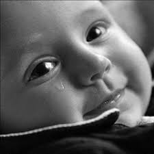 Stream _ تامر عاشور