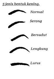 Alat melukis yang satu ini adalah tempat untuk mencampur cat atau tempat untuk menyiapkan cat sebelum diaplikasikan ke mediumnya. Lukis Kening Menjadi Mudah Dengan Brow On Point Dari Mermatte Malaysia