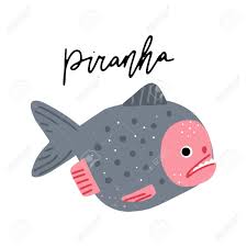 How to draw a piranha. Piranha Fish Vector Illustration Clipart Kids Design Poster Royalty Free Cliparts Vectors And Stock Illustration Image 136635654