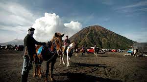 New Normal Gunung Bromo Segera Dibuka Dengan Protokol Ketat Bisnis Tempo Co