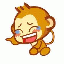 Monkey Yoyo Gif Monkey Yoyo Laugh Discover Share Gifs Cute Gif Monkey Gif Yoyo