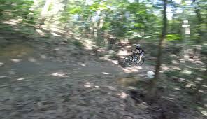 We brought our dog along and headed straight to taman persekutuan bukit kiara, at the edge of taman tun dr ismail. Dirt Diaries Exploring Bukit Kiara S Trails