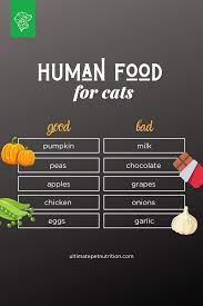 What Human Foods Can Cats Eat Ultimate Pet Nutrition Human Food For Cats Human Food Animal Nutrition