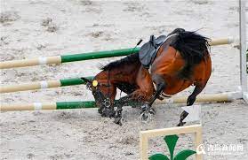 the equestrian competition of the shandong provincial games kicked off and the rider was cool 山东省运会马术比赛今日拉开帷幕骑手英姿飒爽 qingdao 國際日 horses