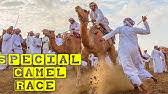 Free cancellationreserve now, pay when you stay. Largest Camel Race Guinness World Records Youtube