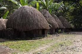 Honai House From Papua Rumah Indonesia Arsitektur