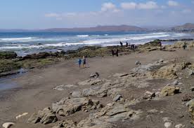 morro bay tide pools california tide pools