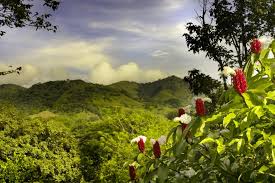 Définition du tourisme selon les principaux dictionnaires. Le Tourisme Responsable Une Niche Pour Vacanciers En Quete De Valeurs La Presse