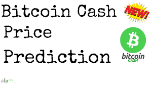 Longforecast bitcoin cash price prediction for 2020, 2021, 2025, 2030 Bitcoin Cash Bch Buy Now Youtube