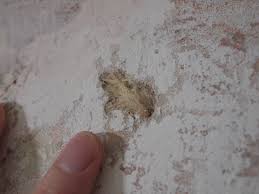 Plaster used to be the default wall material until drywall came along. Fiberous Material White Material Below Plaster Asbestos Home Improvement Stack Exchange