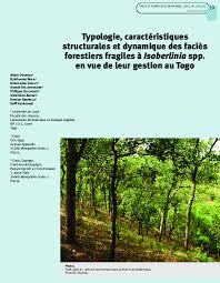 Image result for Isoberlinia doka