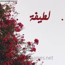 صور اسم لطيفه اسم لطيفه بالصور حصرى صباحيات
