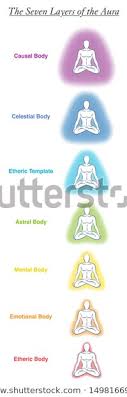 Seven Aura Bodies Chart Meditating Yoga Stock Vector