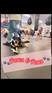 Oh what a day! ☀️😅 Tough Full Body HIIT 💥 Lots of laughter & sweat… lots  of sweat 🩷 + a bittersweet last workout for Lilie before her scholarship  begins at USA-