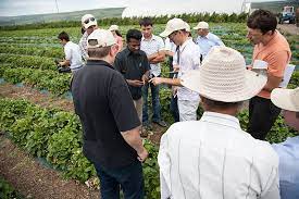 Pest control companies near you. Integrated Pest Management Advances In Sustainable Food Production And Food Security Research Outreach