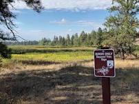 Turnbull NWR Evening Bird Walk