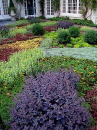Bodendecker Setzen Sie Auf Herrliche Bodenbegrunung Im Garten Bodendecker Garten Schattengarten