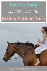 How To Train Your Horse To Be Ridden Without Tack Horses Horseback Riding Horse Training