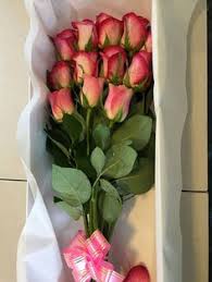 We did not find results for: 18 Valentine S Day Flowers Delivery Melbourne Fresh Flowers Ideas Flowers Fresh Flowers Valentines