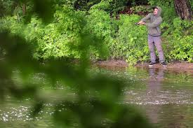 Old Dutch Mustard Company Owner Sentenced to Prison for Polluting Souhegan River
