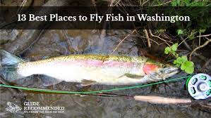 13 Best Places To Fly Fish In Washington State Maps