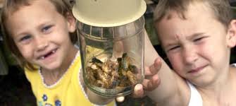 Pediatrician warns parents about cicadas