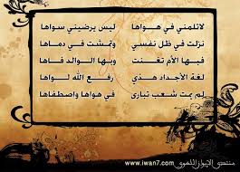 لا تلمني في هواها ليس يرضيني سواها