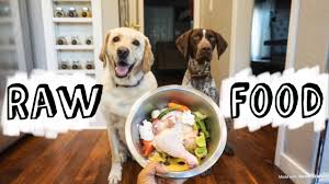 What raw meat can dogs eat. Can Dogs Eat Raw Meat The Complete Raw Dog Food Guide