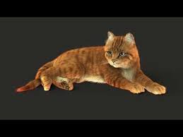 Just A Pose Study Of Two Tabby Cat Colors Slightly Different Grooming And Fur Setup For Each Version Medium Arnold Render Settings Aa5 M Tabby Cat Tabby Cats