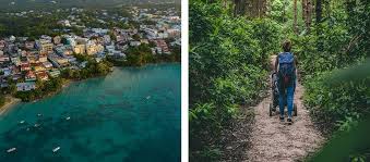 Search the world's information, including webpages, images, videos and more. Guadeloupe With Your Family Practical Guide Little Guest
