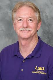 Our Center for Equine Health & Sports Performance at LSU School of  Veterinary Medicine offers a variety of outstanding services, including  osteopathy. Anais Musso Thieulent and Dr. Frank Andrews published a review