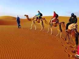 Morocco desert camel trek tour from marrakech to fez , via sahara of merzouga including camel trek tour in erg chebbi , tour takes 3 day or 4 days marrakech to fez and camel trek : Fez Morocco Tours Picture Of Ready Morocco Tours Marrakech Tripadvisor