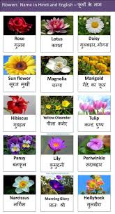 It was first used as a given poppy is also an old english name that came from a wildflower that produces simple yet striking blossoms. Digitalstudyhindi Learn English Through Hindi