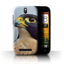 HTC One ST/Peregrine Falcon/Birds ...
