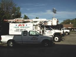 Maybe you would like to learn more about one of these? Tree Removal Brick Nj A1 Tree Removal Services Inc