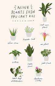 Keep Your Planner Organized With These Free Printable Inserts Plants House Plants Indoor House Plants