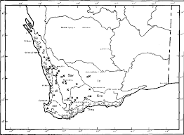 Image result for Asterochaete angustissima