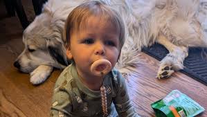 Fundraiser by Kyle Warden : Help us rebuild our lives