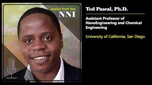 Addressing Big Societal Challenges with Nanotechnology: A Conversation with  Tod Pascal