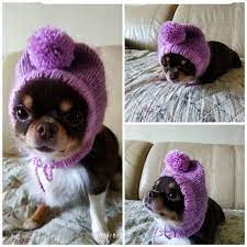 Pom Pom Dog Hat Dog Hat For Dogs Teacup Dog Hat Tiny Wool Etsy Dog Hat Pom Dog Dog Clothes Patterns