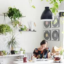 Enjoy the best designs for 2021 and discover your favorites! 8 Kitchen Plants Best Houseplants That Thrive In Kitchens Kitchn