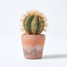 It is found in argentina, bolivia, chile, ecuador, and peru, and it is cultivated in other parts of the world. Artificial 126cm San Pedro Cactus Echinopsis Pachanoi Plant Stylish Faux Cacti For Sale Ebay