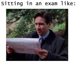 Find the newest lockdown meme. 60 Exam Memes That Will Make You Laugh Instead Of Cry