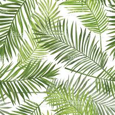 Seamless Tropical Palm Leaves Background For Design Scrapbook Royalty Free Stock Vector Art Padrinhos Inspiracao