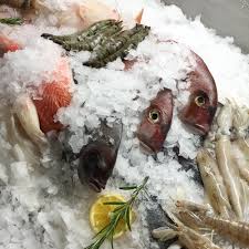Lesendro Mediterranes Fischrestaurant Berlin Creme Guides Fischrestaurant Jacobsmuscheln Berlin Essen