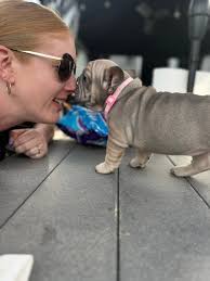 Miss Muñeca at tractor supply today ￼