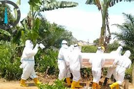 Strain Virus Corona Disebut Mengalami Mutasi Di Indonesia Halaman All Kompas Com